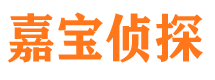 田家庵侦探公司